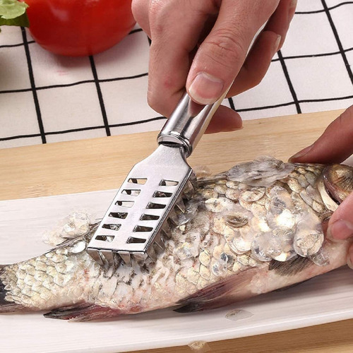 Juego De 4 Cepillos Para Escamador De Pescado, De Acero Inox