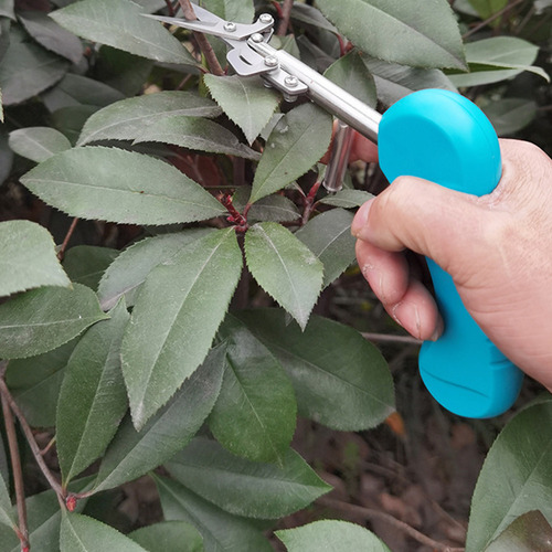 Para Tijeras De Podar De Jardín Tijeras De Pimienta Verde