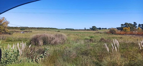 Venta Sauce Ruta 6 Km 44 , 8 Hectáreas, Tajamar