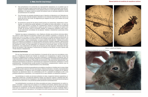 Bengoa: Manual Práctico De Medicina De Mamíferos Exóticos