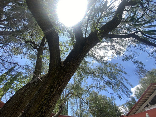 Vendo El Mejor Terreno De Bosques De Viena