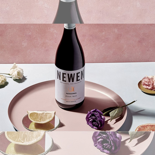 Vino Newen Reservado Pinot Noir 1x750 Ml. Bod Fin Del Mundo