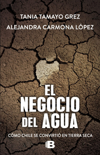 Libro El Negocio Del Agua