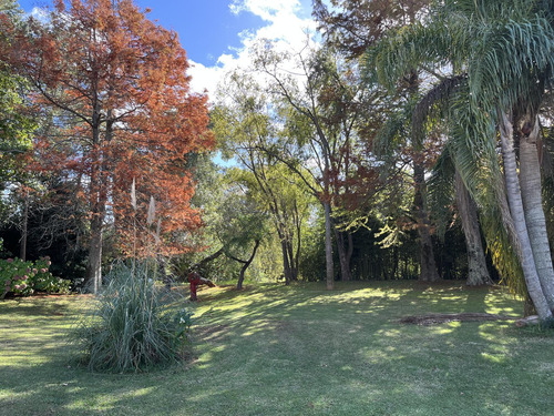 Venta De Casa En Barrio El Golf De Punta Del Este, Maravillosa Casa De Lujo