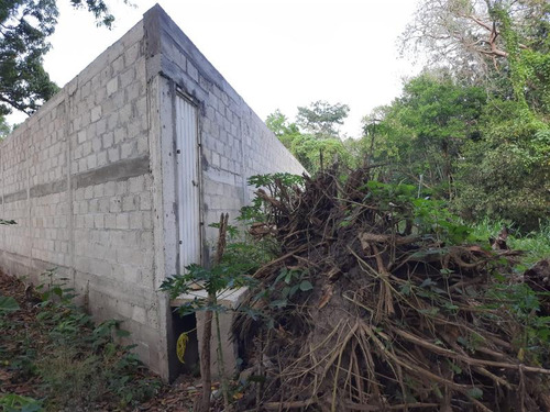 Venta Terreno 1275 M² Col. Cruz Naranjos Tuxpan Veracruz