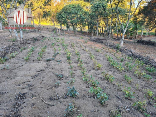 Imagem 25 de 30 de Ótima Chácara Com 4 Dormitórios, Edícula, Salão De Jogos, Pomar, Horta, Bem Localizada, À Venda, 5000 M² Por R$ 630.000 - Zona Rural - Pinhalzinho/sp - Ch0984