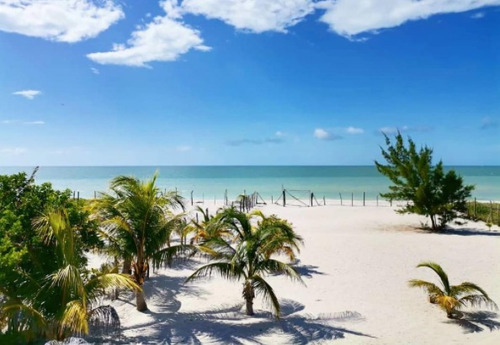 Imagen 2 de 2 de Terreno Ideal Para Inversionistas En Isla Aguada, Campeche