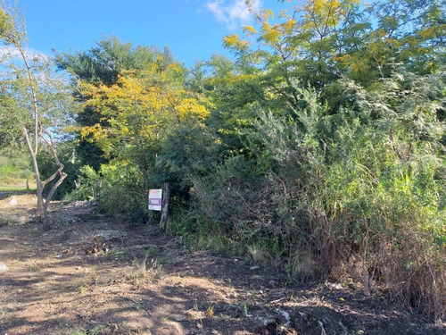 Lote En El Centro De San Francisco Del Monte De Oro