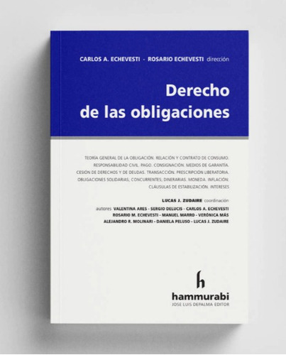 Derecho De Las Obligaciones, De Carlos Echevesti. Editorial Hammurabi, Tapa Blanda En Español, 2022