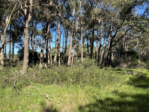 Terreno En Venta En La Barra Barra Verde