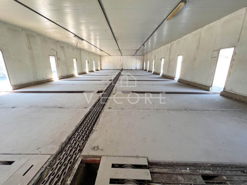 Imagen 6 de 30 de Terreno En Venta En Ciudad Guadalupe, Monterrey, Nuevo León