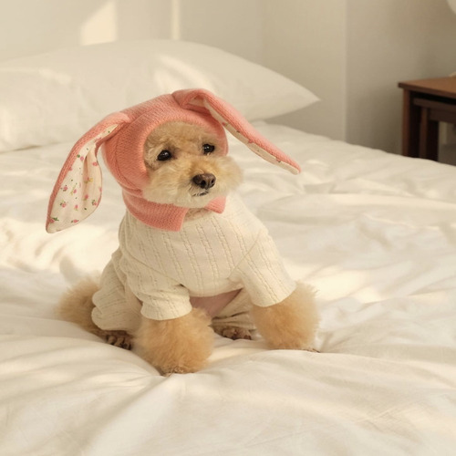 Gorro De Punto Con Orejas De Conejo, Disfraz De Perro, Decor
