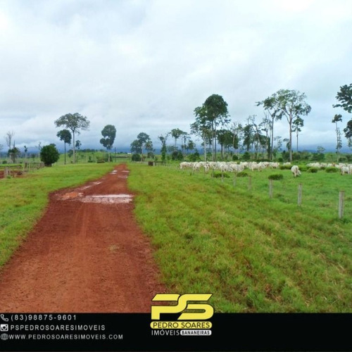 Imagem 4 de 5 de Fazenda À Venda, 120000000 M² Por R$ 217.000.000,00 - Zona Rural - São Félix Do Xingu/pa - Fa0271