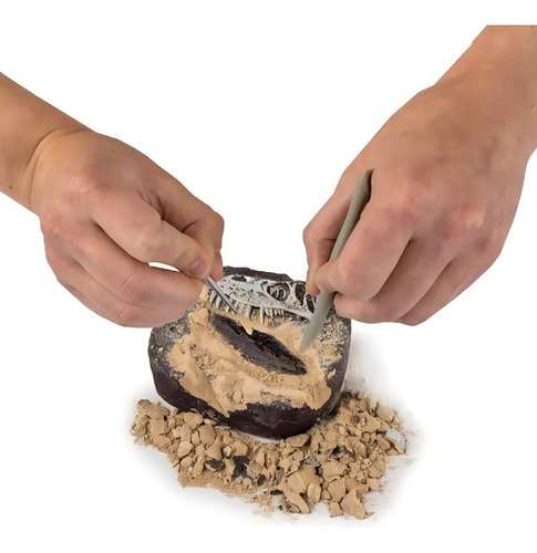 Juego De Mesa Nat Geo Dino Fossil Dig