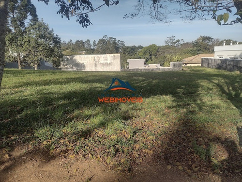 Imagem 5 de 12 de Terreno - Te00021 - 69336091