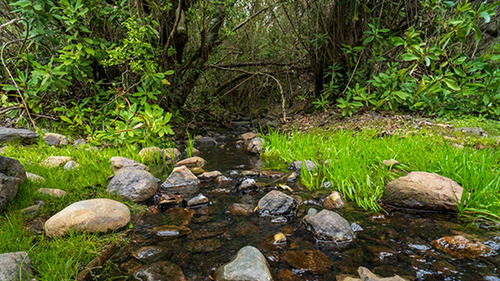 Imagen 11 de 20 de Lomas De Huemul