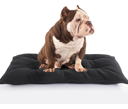 Hombys Cama Para Perros A Prueba De Mordidas, 29 X 18 Pulgad