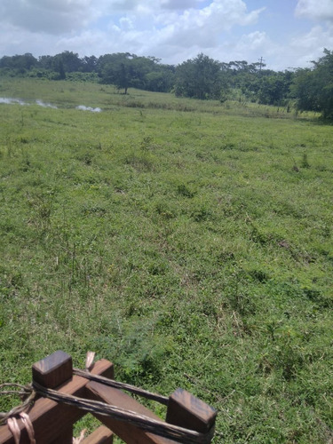 Imagen 11 de 17 de Venta 199 Hectáreas - Para Cultivo Y Ganado