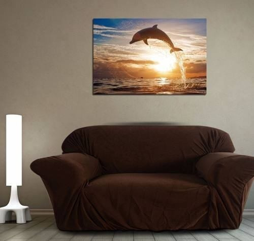 Vinilo Decorativo 40x60cm Delfin Fauna Marina Oceano