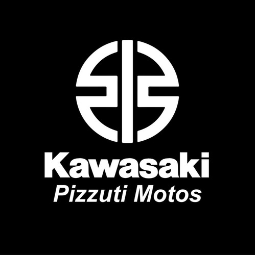 Kawasaki Teryx 1000 Utv -kawasaki Pizzuti-