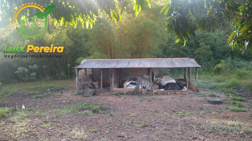 Imagem 14 de 15 de Fazenda À Venda Em Santa Tereza Do Tocantins-to-de 166 Alqueirões(pecuária) - 1692