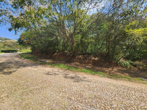 Venta De Lote San Diego 8 Sobre Boulevard Muy Cerca De Las Amenidades Y Del Hotel Del Fracc Rancho San Diego Ixtapan De La Sal Edomex. Se Incluye Proyecto