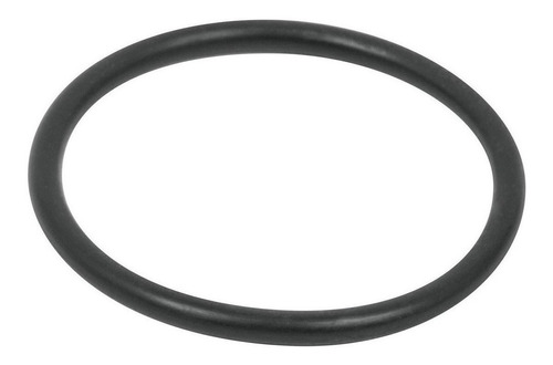 O Ring Grancilindro Fumigadora Fm-425 11731