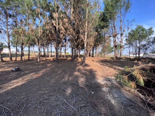 Imagen 9 de 18 de Venta Terreno Financiable Lomas De Solymar Canelones