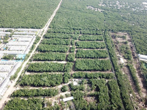 Macrolote/terreno Multifamiliar En Venta Playa Del Carmen Pe