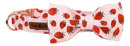 Collar Perro Lionet Paws - Verano Ajustable Con Lazo De