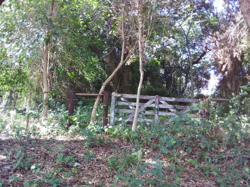 Imagen 11 de 15 de Vendo Pequeño Bosque Sobre El Río Corriente En La Ciudad De Esquina!!!!