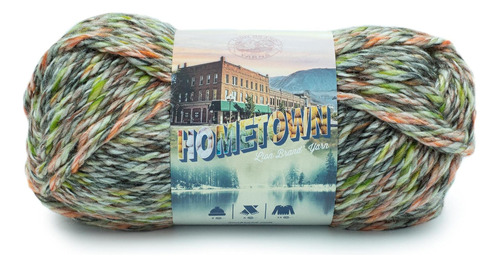 Lion Brand Yarn Hometown Yarn, Durham Woods (1 Skein)