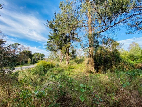 Imagen 5 de 8 de 5.363 M² Sobre Calle Principal A 100 M De La Laguna