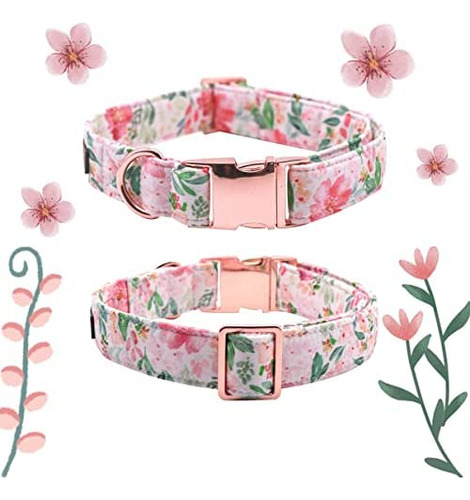 Lionet Paws Collar Para Perro Con Pajarita - Collares Ajusta