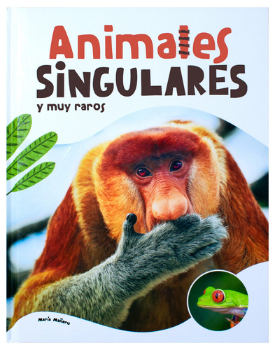 Universo Animal: Animales Singulares y my Raros.: Libro infantil Universo Animal: Animales singulares y muy raros, de María Mañeru. Editorial Silver Dolphin (en español), tapa dura en español, 2022