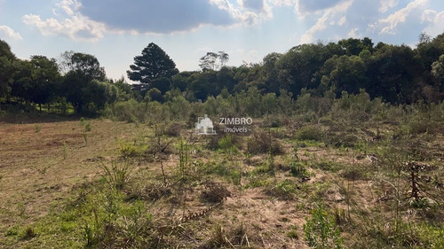 Imagem 3 de 9 de Terreno Com Mil M², Possibilidade De Comprar Dois Lado A Lado - 19581
