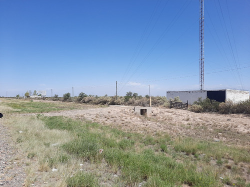 Campo En Venta En Valle De Uco