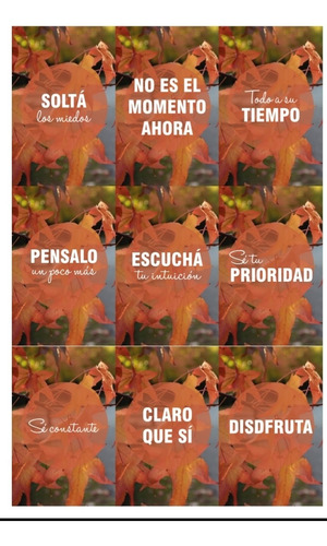 Imagen 2 de 3 de Mi Primer Oráculo