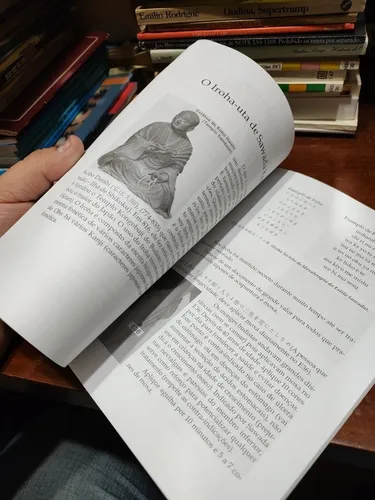 Acupuntura E Moxaterapia Taikyoku (en Portugués) - Cunha (Usado)