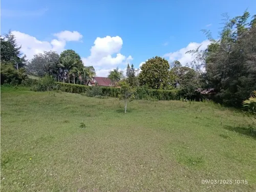 Vendo Lote En Llano Grande Vereda Cabeceras De 6.307 M² Sobre Vía