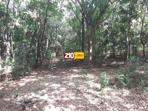 Imagem 13 de 18 de Sitio Para Venda Em Bauru Boracéia - Na Z10 Imóveis - Indaiatuba /sp - St00209 - 69350414