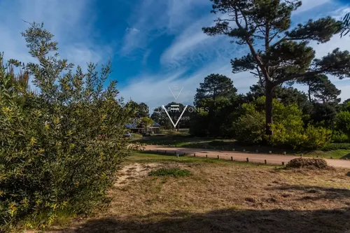 Venta Terreno Pinar Del Faro, 1000 Mts (pfg11)
