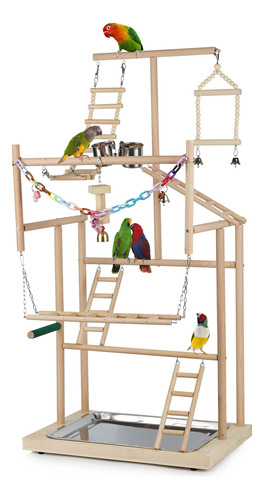 Ibnotuiy Parrot Pet Parrot Parrots Bird Parrots Bird Play St