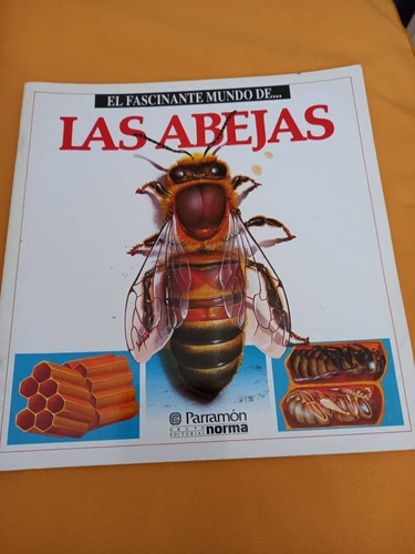 El Fascinante Mundo De ... Las Abejas