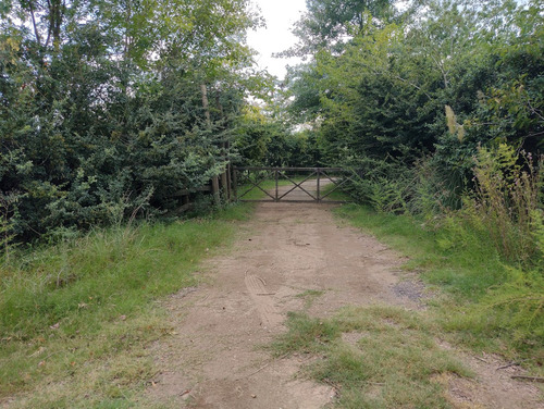 Campo En Venta En Pilar