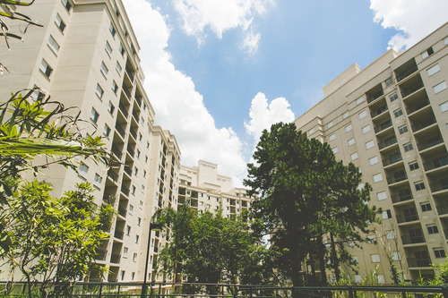 Cobertura Residencial Para Venda, Vila Ivone, São Paulo - Co5286. - Co5286-inc