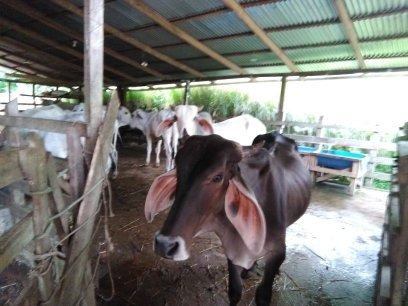 Imagen 13 de 14 de Casa Privado Y Finca Para 8-31 Personas
