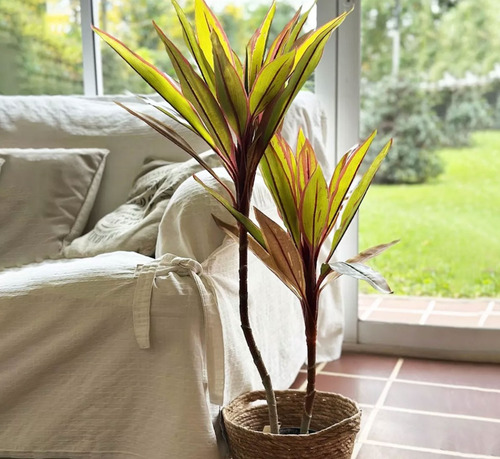 Planta Artificial Grande Con Macetas Apta Interior Exterior