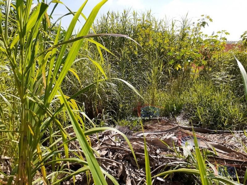 Imagem 3 de 4 de Ref.: 5358 - Terrenos Em Osasco Para Venda - V5358