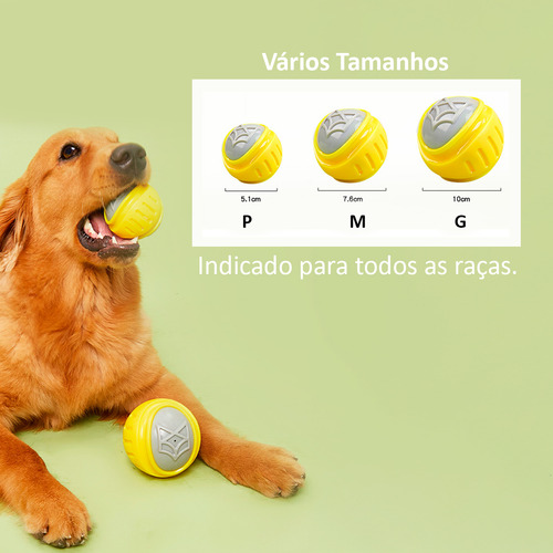 Brinquedo Canino Interativo Bola Com Apito Resistente 10cm